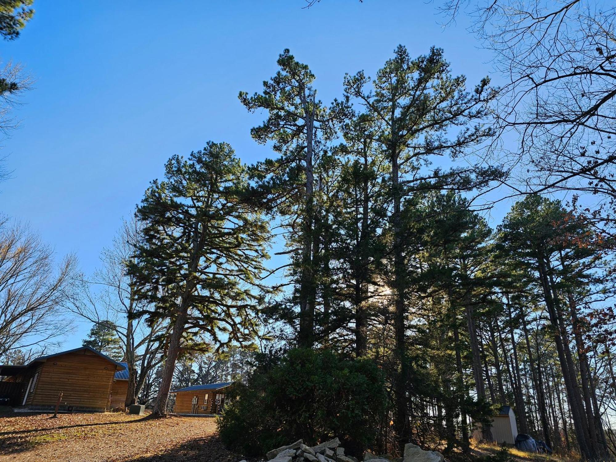 5 Min To Beaver Lake-King Bed-Fire Pit-Jetted Tub #4 Eureka Springs Exteriör bild